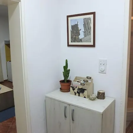 Daydream In * Podgorica